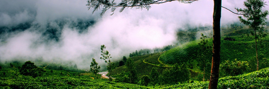 Kerala Gods of country